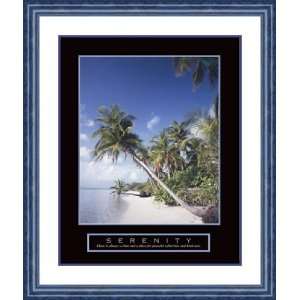     Palm Trees by Craig Tuttle   Framed Artwork