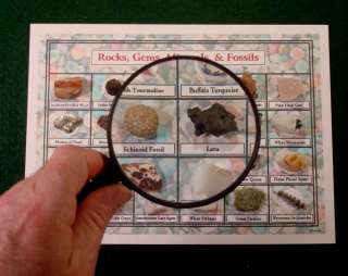 Gem Mineral Fossil   10 Collection Lot   240 Specimens  