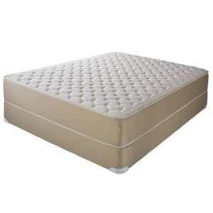   King Koil 16538 Series Sleep Designs Ashlander Cushion Firm Mattress