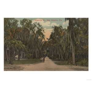   Florida   View of Magnolia St. with Trees Premium Poster Print, 12x16