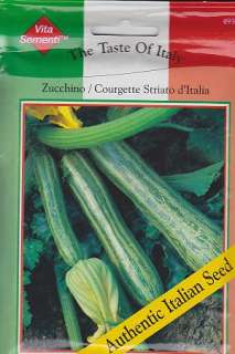 Courgette Striato dItalia Zucchini   54 Seeds  