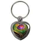 PEACOCK FEATHER Key Ring Chain Heart Metal New Gift