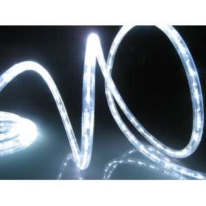   Light Kit; 1.0 LED Spacing; Christmas Lighting; outdoor rope lighting