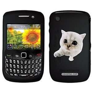  Persian Kitten on PureGear Case for BlackBerry Curve 