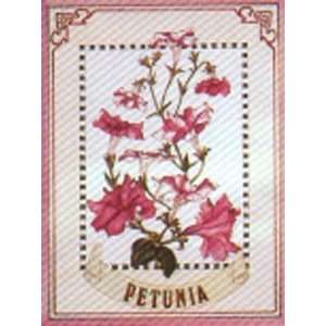  Flowers Petunia Poster Print