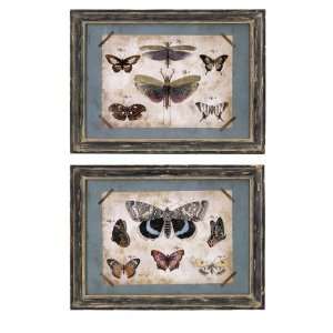   Colorful Displayed Painted Butterfly Wall Pictures