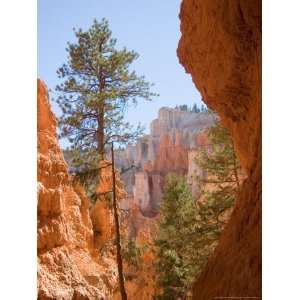  A View of the Hoodoos and Erosion in Bryce Canyon National 