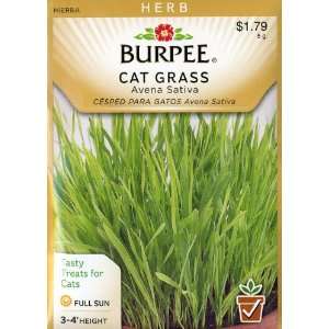    Burpee 54297 Herb Cat Grass Seed Packet Patio, Lawn & Garden