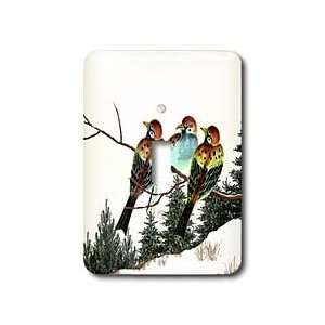 Edmond Hogge Jr Birds   A Star is Born   Light Switch Covers   single 