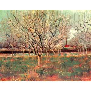   Poster Print   Orchard in Blossom Plum Trees 24 X 19 