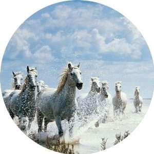 com White Horses in Snow Art   Fridge Magnet   Fibreglass reinforced 